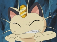 Archivo:EP347 Meowth (2).png