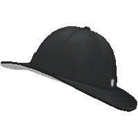 Archivo:Sombrero de Paldea (Púrpura) chico GO.png
