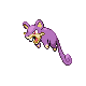 Rattata Pt hembra 2.png