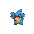 Gible XY variocolor hembra.png