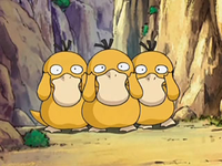 Archivo:EP556 Psyduck (2).png