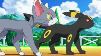 Archivo:EP607 Glameow y Umbreon.png