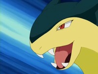 Archivo:EP291 Typhlosion.png