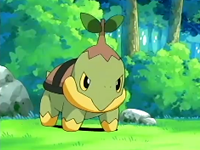 Archivo:EP474 Turtwig (2).png