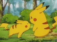 Archivo:EP039 Pikachu pequeño oliendo a Pikachu.png