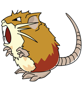 Archivo:Raticate (anime SO).png