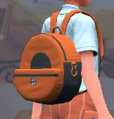 Mochila de lona (naranja) EP.png