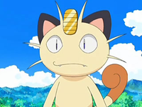 Archivo:EP552 Meowth.png