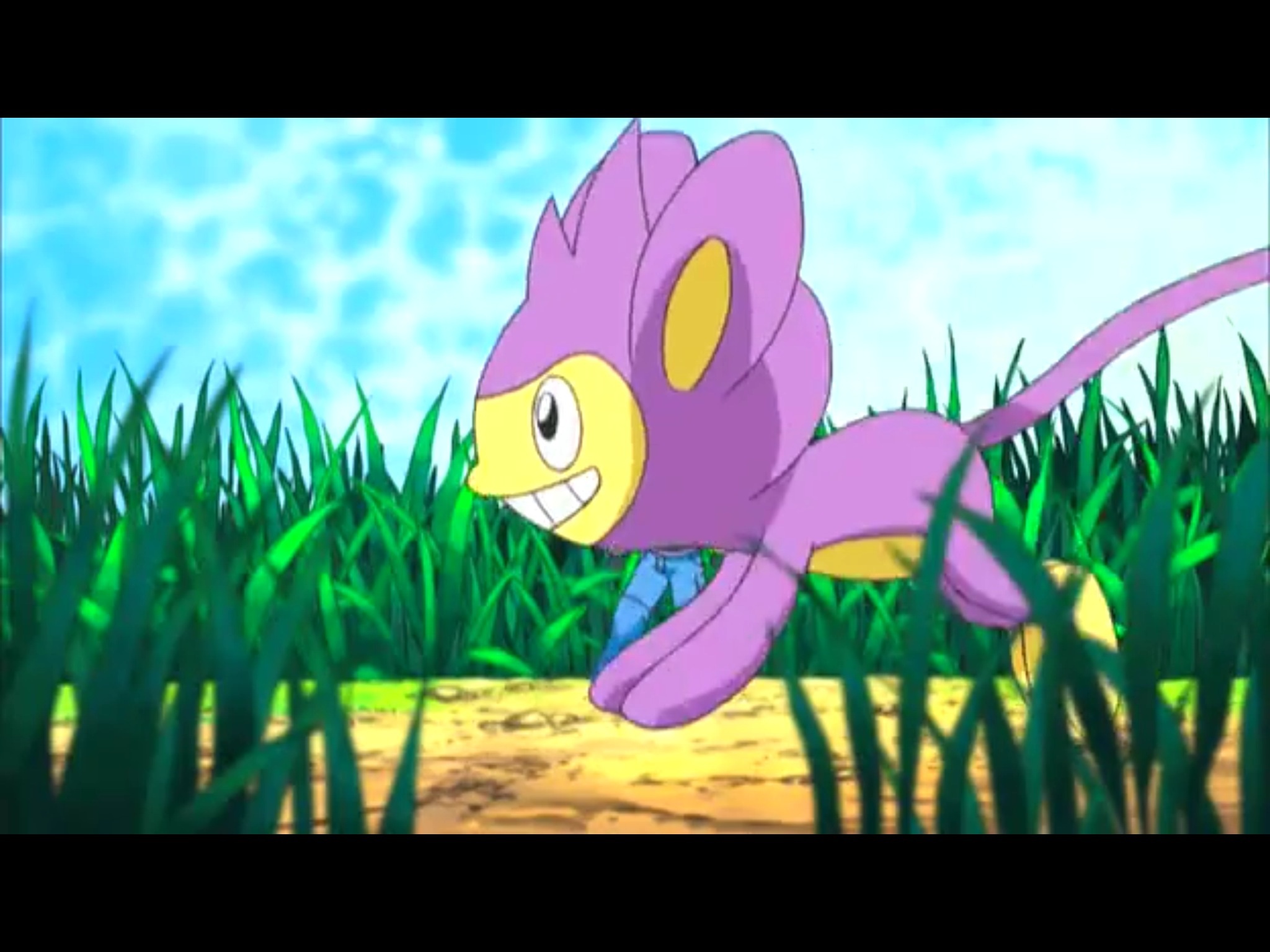 Archivo:EP609 Aipom.jpg - WikiDex, la enciclopedia Pokémon