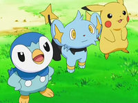 Archivo:EP558 Piplup, Shinx y Pikachu.png