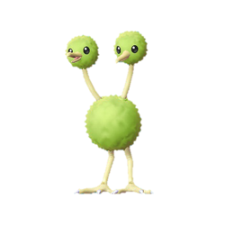 Doduo