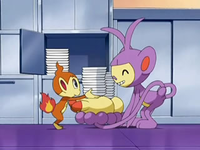 Archivo:EP561 Chimchar y Ambipom ayudando en el centro Pokémon.png