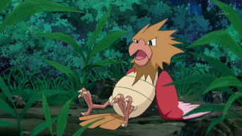 Archivo:EP609 Spearow (4).png
