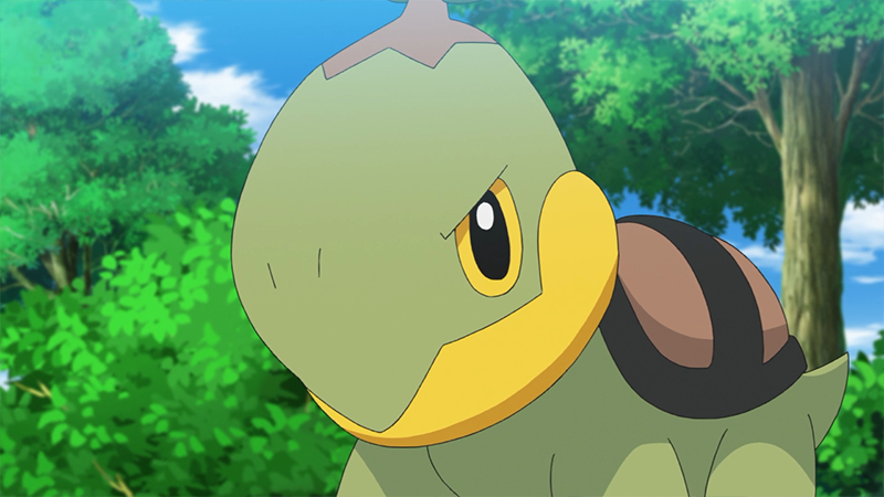 Archivo:EP1147 Turtwig.png