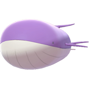 Archivo:Wailord EpEc variocolor.png