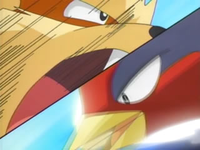 Archivo:EP430 Arcanine vs Swellow.png