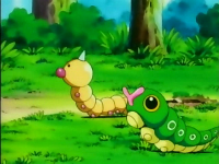 Archivo:EP099 Weedle y Caterpie.png