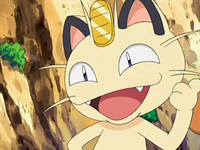 Archivo:EP556 Meowth (4).png