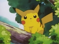 Archivo:EP039 Pikachu observando desde un árbol.png