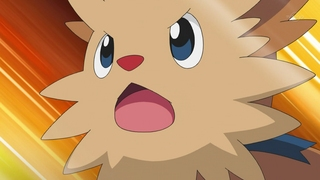 Archivo:EP675 Lillipup.PNG