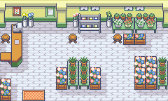 Interior de la floristería en la tercera generación
