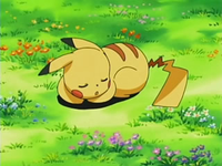 Archivo:EP525 Pikachu durmiendo como señuelo.png