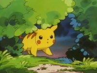 Archivo:EP039 Pikachu entre los arbustos.png
