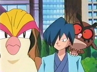 Archivo:EP133 Pidgeot, Pegaso y Hoothoot.png