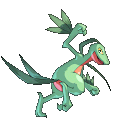 Grovyle Conquest.png