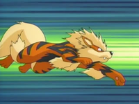 Archivo:EP430 Arcanine.png