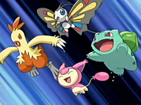 Archivo:EP391 Pokémon de May al ataque!.png