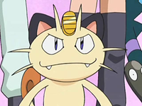 Archivo:EP570 Meowth (3).png