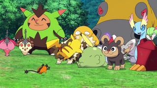 Archivo:P19 Pokémon del bosque (5).png