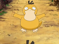 Archivo:EP556 Psyduck (9).png
