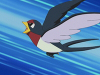 Archivo:EP350 Taillow de Ash.png