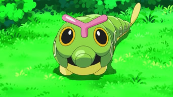 Archivo:EP792 Caterpie.png