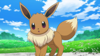 Archivo:EP892 Eevee de Serena (2).png - WikiDex, la enciclopedia Pokémon