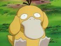 Archivo:EP049 Psyduck.png