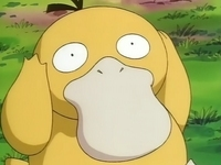 Archivo:EP049 Psyduck (2).png