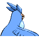 Imagen posterior de Articuno variocolor en Pokémon Diamante y Pokémon Perla