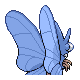 Imagen posterior de Venomoth variocolor en Pokémon Platino