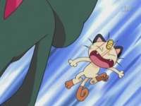 Archivo:EP267 Meowth vs Sneasel.png