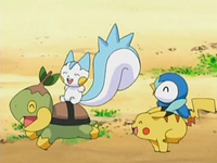 Archivo:EP534 Turtwig, Pachirisu, Piplup y Pikachu jugando.png