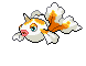 Imagen de Goldeen variocolor hembra en Pokémon Negro y Blanco