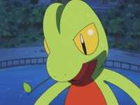 Archivo:EP341 Treecko (4).png - WikiDex, La Enciclopedia Pokémon