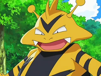Archivo:EP550 Electabuzz.png