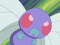 Archivo:EP464 Butterfree.png