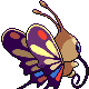 Imagen posterior de Beautifly variocolor macho en Pokémon Diamante y Pokémon Perla