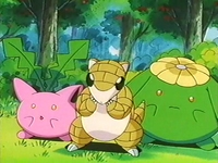 Archivo:EP235 Pokémon del bosque.png