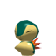 Archivo:Cyndaquil Rumble.png